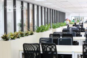 dịch vụ cho thuê cây cảnh Hà Đông