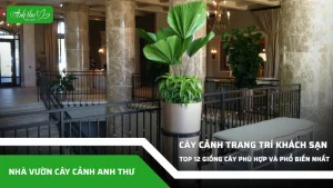 anh dai dien ccat 288