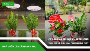 anh dai dien ccat 289