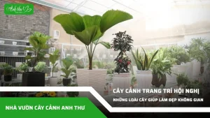 anh dai dien ccat 290