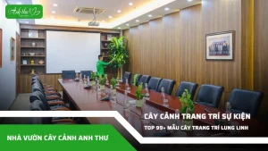 anh dai dien ccat 291