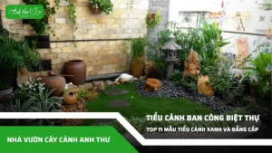 anh dai dien ccat 292