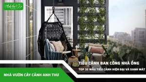 anh dai dien ccat 293