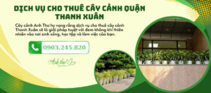 thuê cây cảnh thanh xuân