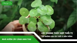 anh dai dien ccat 281