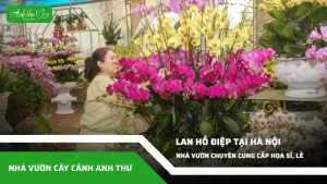 anh dai dien ccat 284