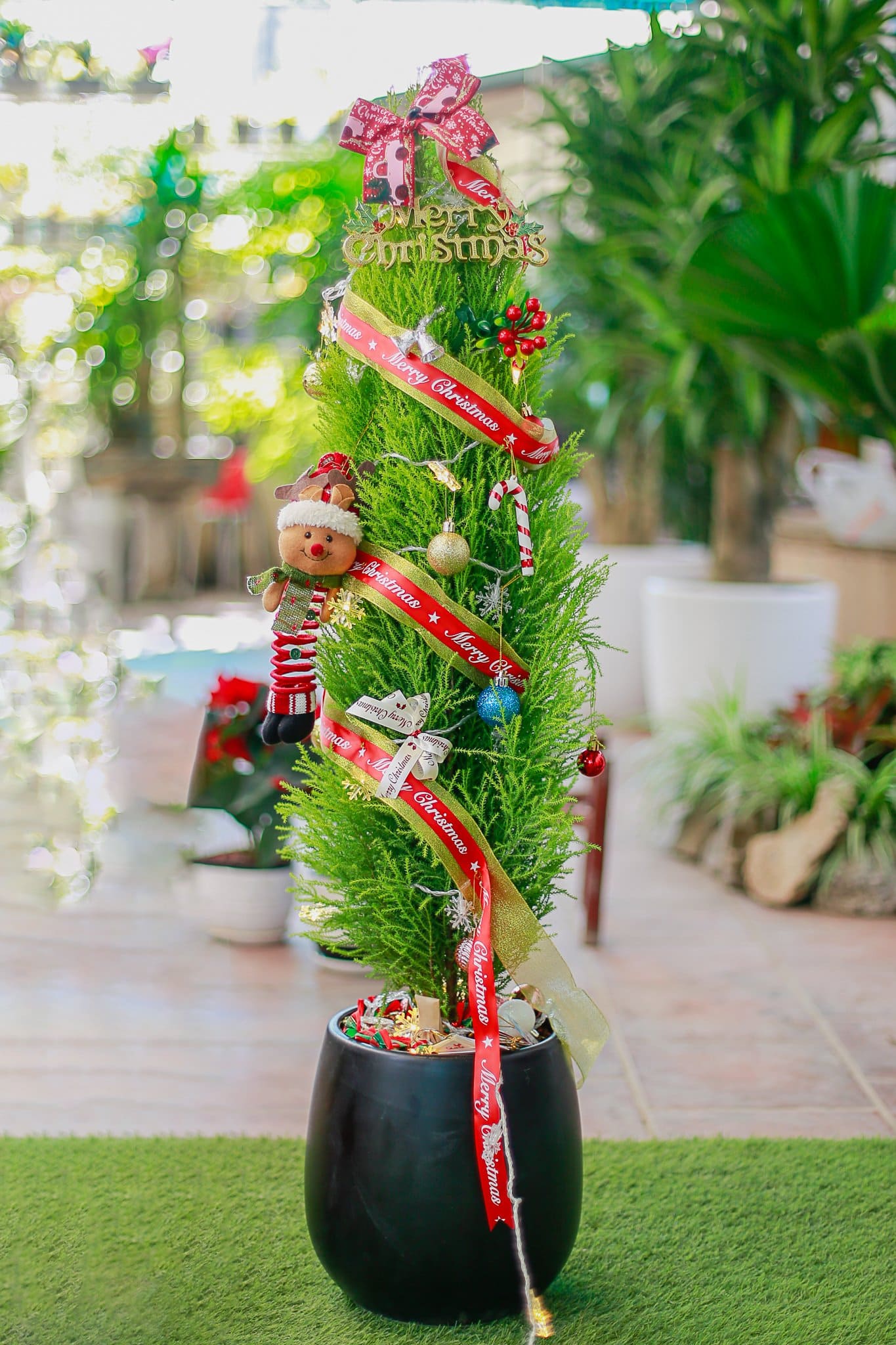 Cách trang trí cây tùng thơm Noel đẹp với dây ruy băng