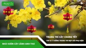 anh dai dien ccat 268