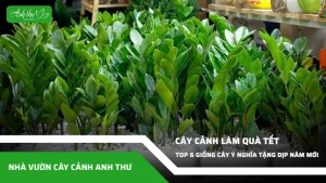 anh dai dien ccat 270