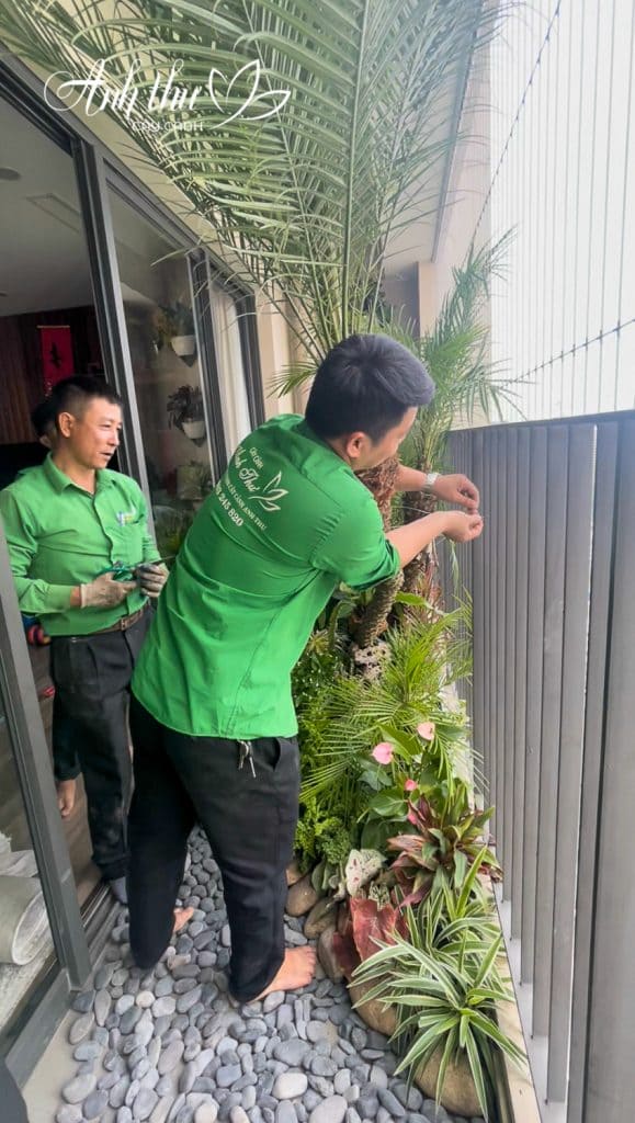 Dự án thi công tiểu cảnh ban công - chung cư Tân Hoàng Minh