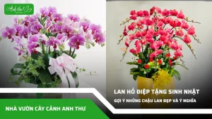 anh dai dien ccat 260