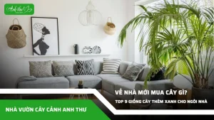 anh dai dien ccat 262