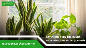 anh dai dien ccat 264