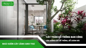 anh dai dien ccat 254