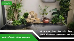 anh dai dien ccat 255