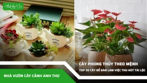 anh dai dien ccat 257