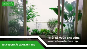 anh dai dien ccat 249