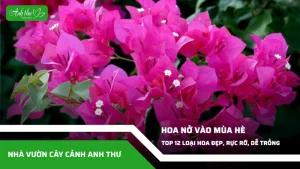 anh dai dien ccat 238