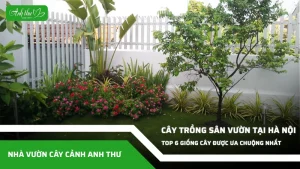 anh dai dien ccat 232
