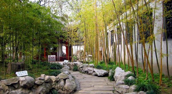 cây sân vườn tại Hà Nội