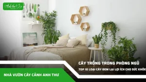 anh dai dien ccat 226