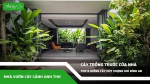 anh dai dien ccat 229