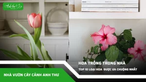 anh dai dien ccat 222