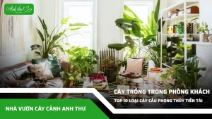 anh dai dien ccat 225