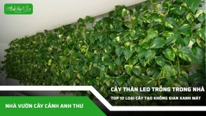 anh dai dien ccat 218