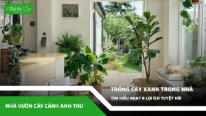 anh dai dien ccat 220