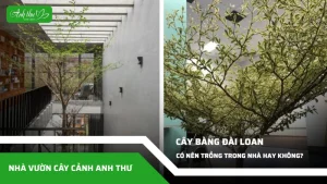 anh dai dien ccat 212
