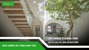 anh dai dien ccat 213