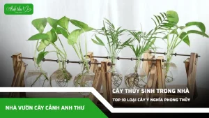 anh dai dien ccat 216