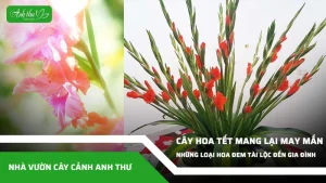 anh dai dien ccat 202