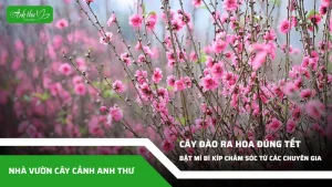 anh dai dien ccat 203
