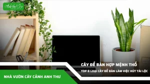 anh dai dien ccat 204