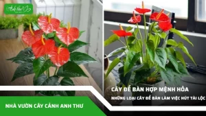 anh dai dien ccat 206