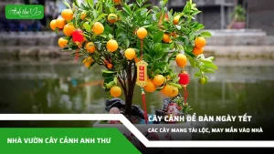 anh dai dien ccat 189