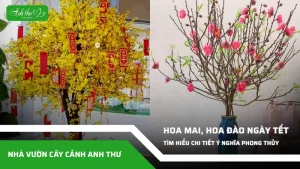 anh dai dien ccat 190