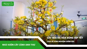 anh dai dien ccat 191
