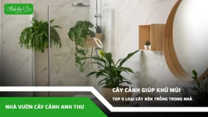 anh dai dien ccat 192