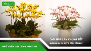 anh dai dien ccat 195