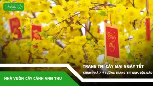 anh dai dien ccat 196