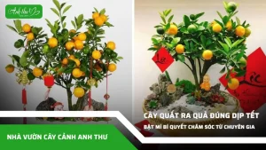 anh dai dien ccat 197