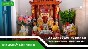 anh dai dien ccat 185