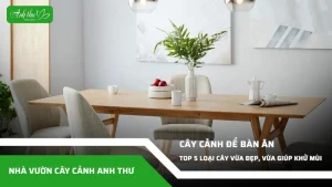 anh dai dien ccat 186