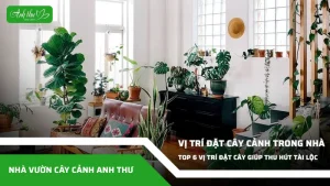 anh dai dien ccat 182