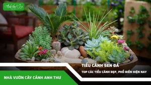 anh dai dien ccat 183