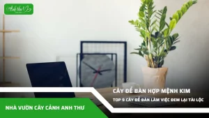 anh dai dien ccat 177