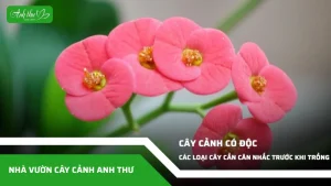 anh dai dien ccat 180